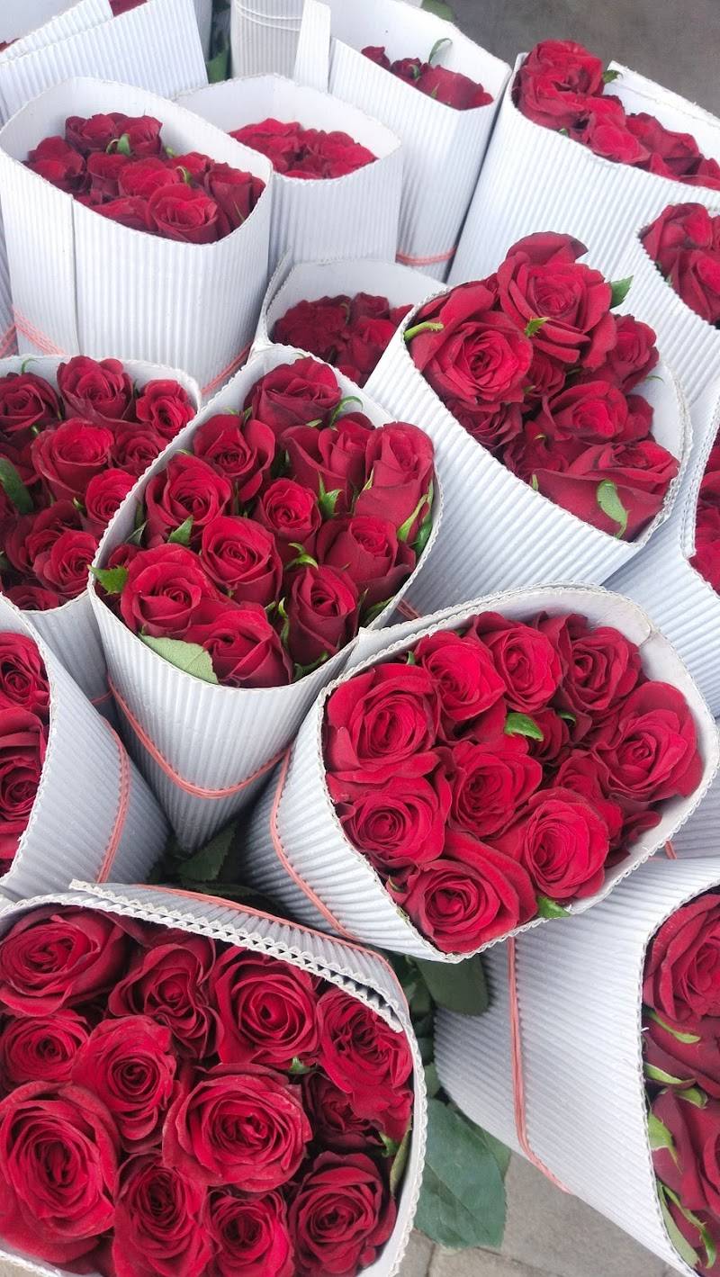 Om Flower Decoreters